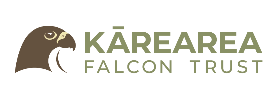 Kārearea Falcon Trust 