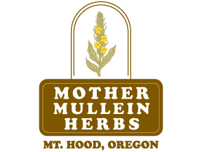 Mother Mullein Herbs