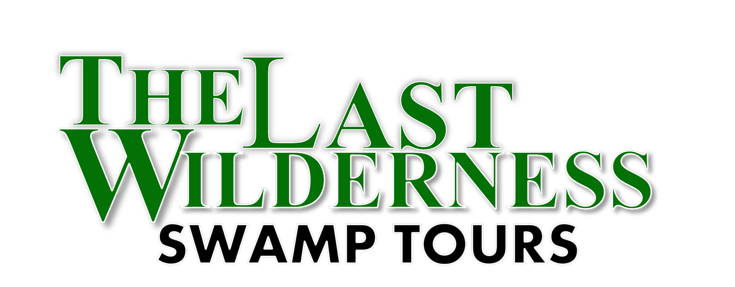 Last Wilderness Swamp Tours