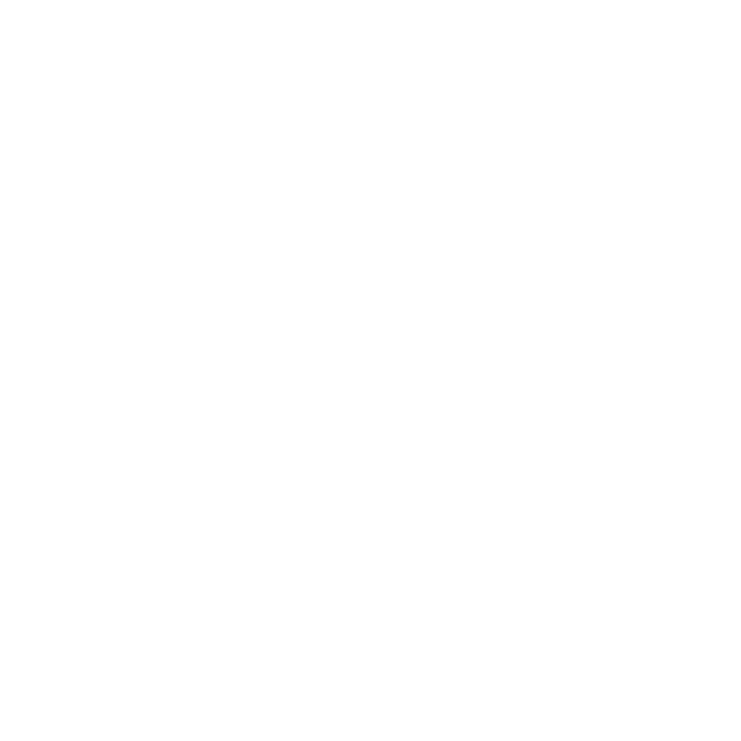 Elan Artistry
