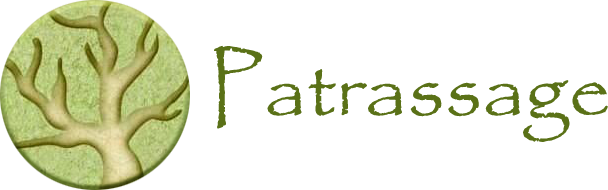 Patrassage - Best Massage Therapy, Asheville NC