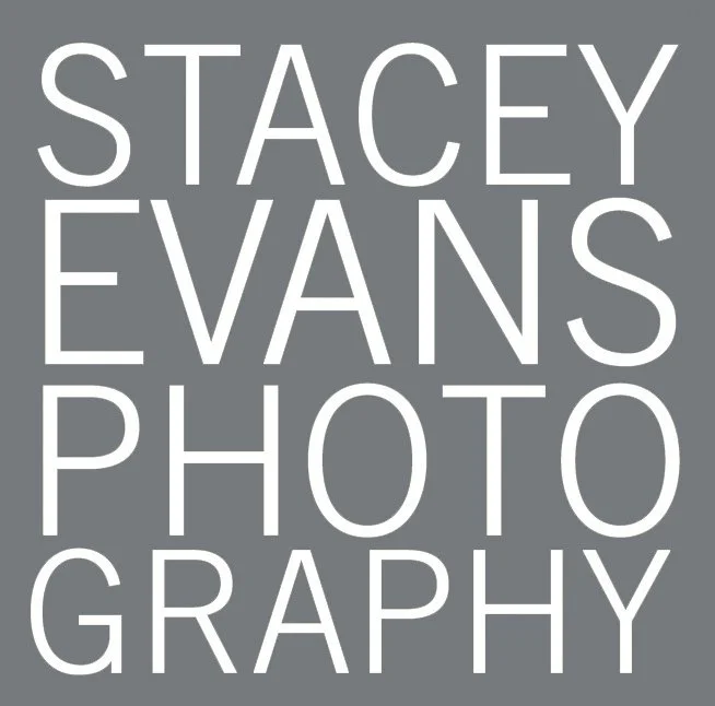 Stacey Evans