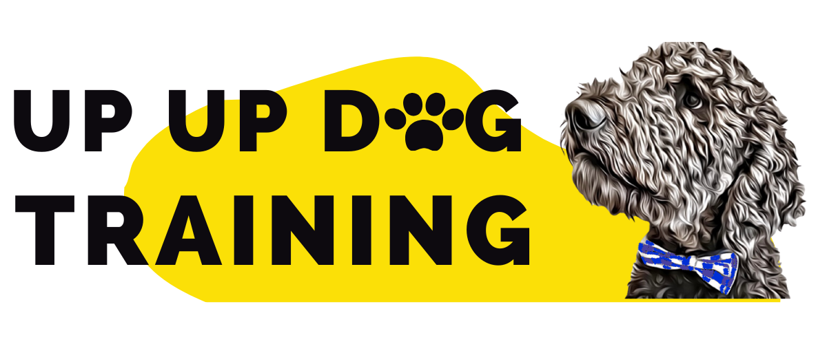 Up Up Dog Training