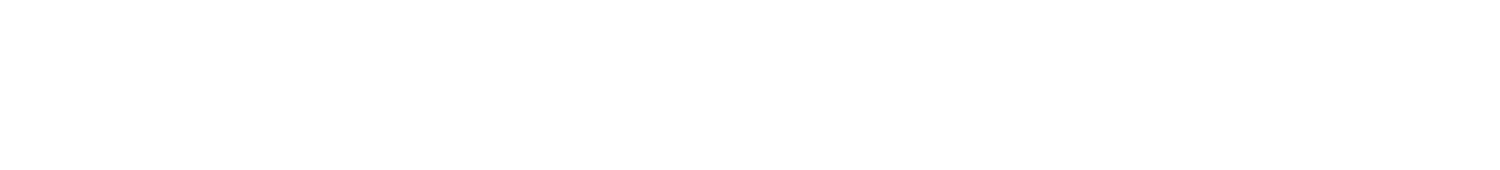 INDIE HOUSE