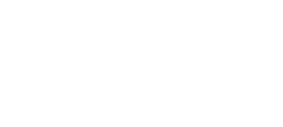 Lighthouse Immigrant Advocates