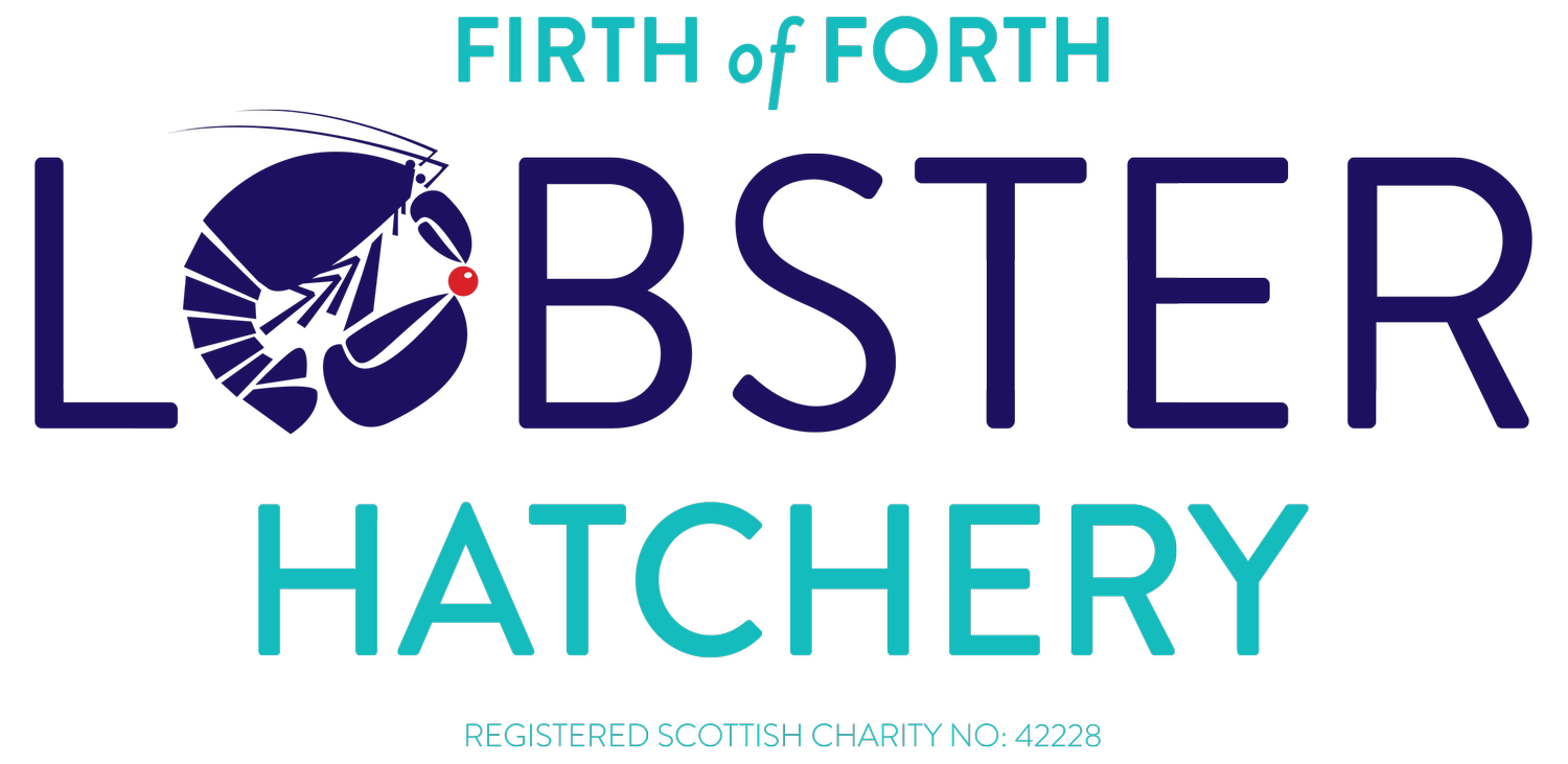 Firth of Forth Lobster Hatchery