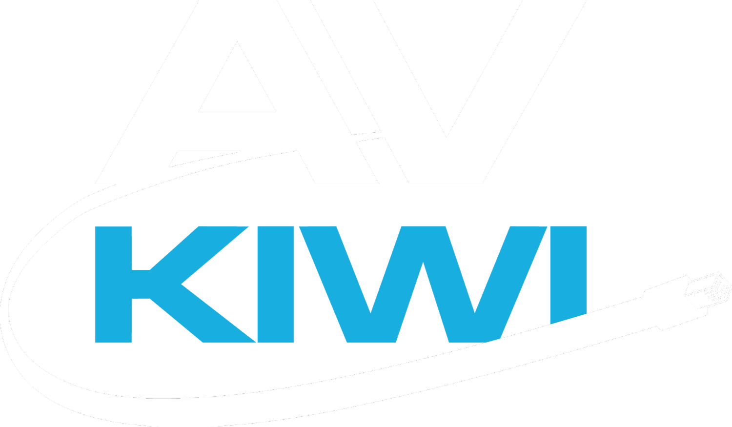 AVKIWI - Security and Data Experts 