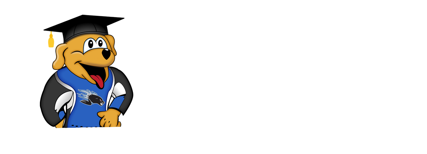 Sea Dogs Foundation