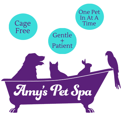 Amy&#39;s Pet Spa. Cage free, gentle grooming for dogs, cats, rabbits, and birds. 