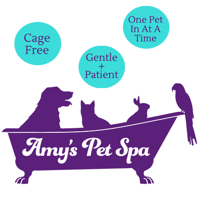 Amy&#39;s Pet Spa. Cage free, gentle grooming for dogs, cats, rabbits, and birds. 