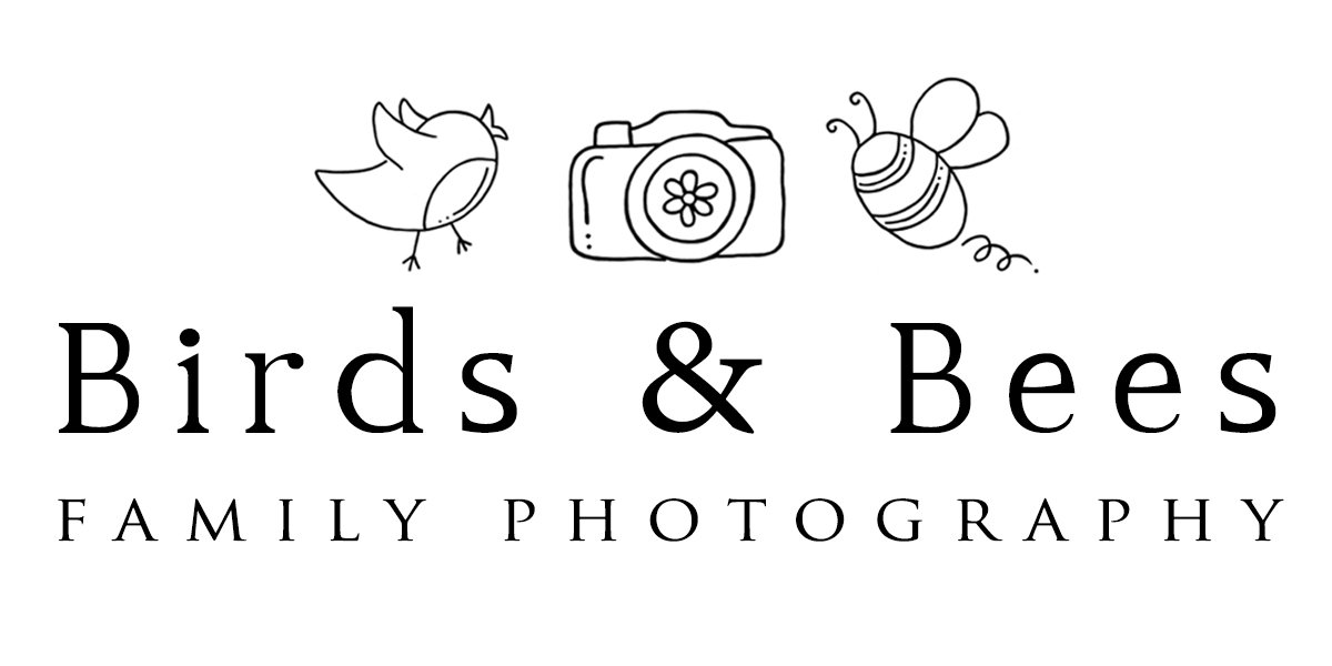 Birds and Bees Photography