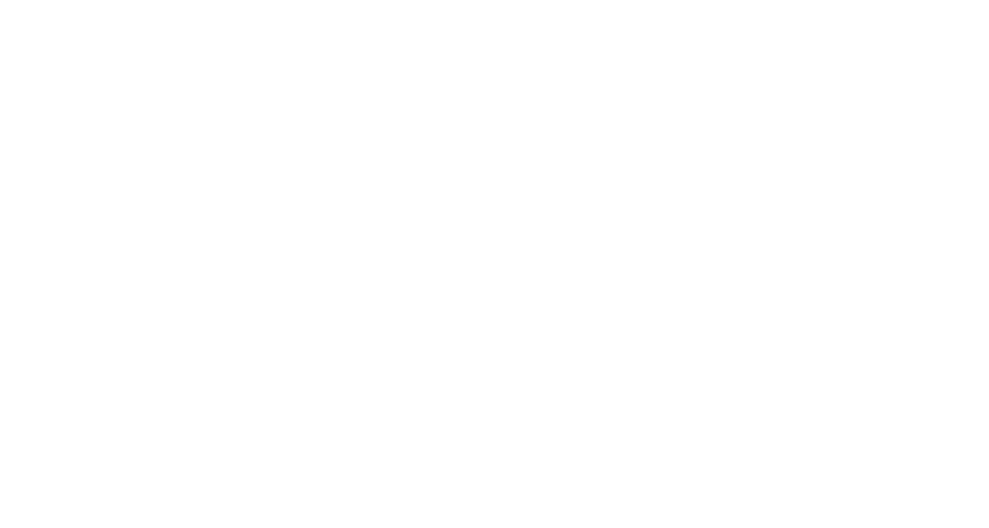 THE MITCHELL TWINS