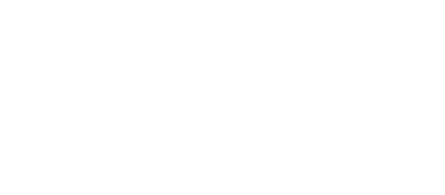 Amanda Chidester