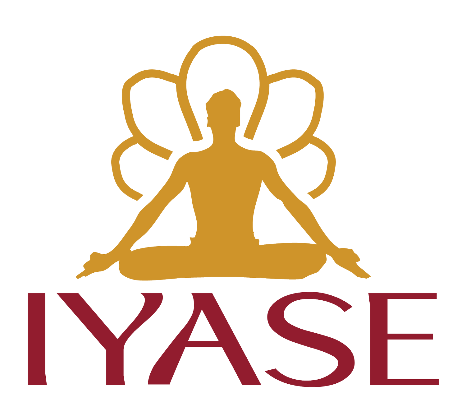 IYASE Iyengar Yoga Association Southeast