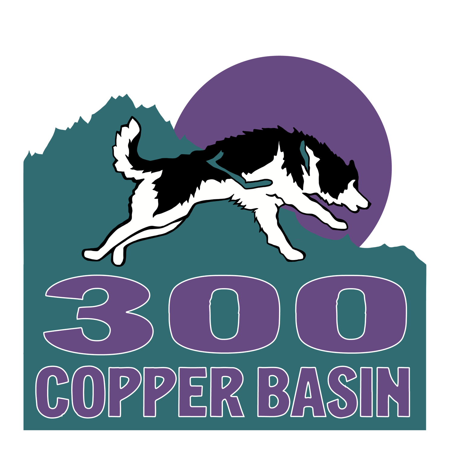 Copper Basin 300
