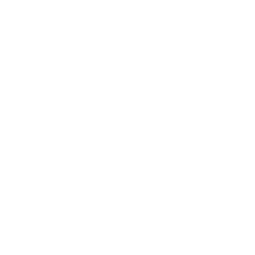 Higher Ground Advantage Consulting