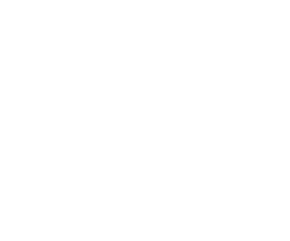 Healthy Families Hutt Valley