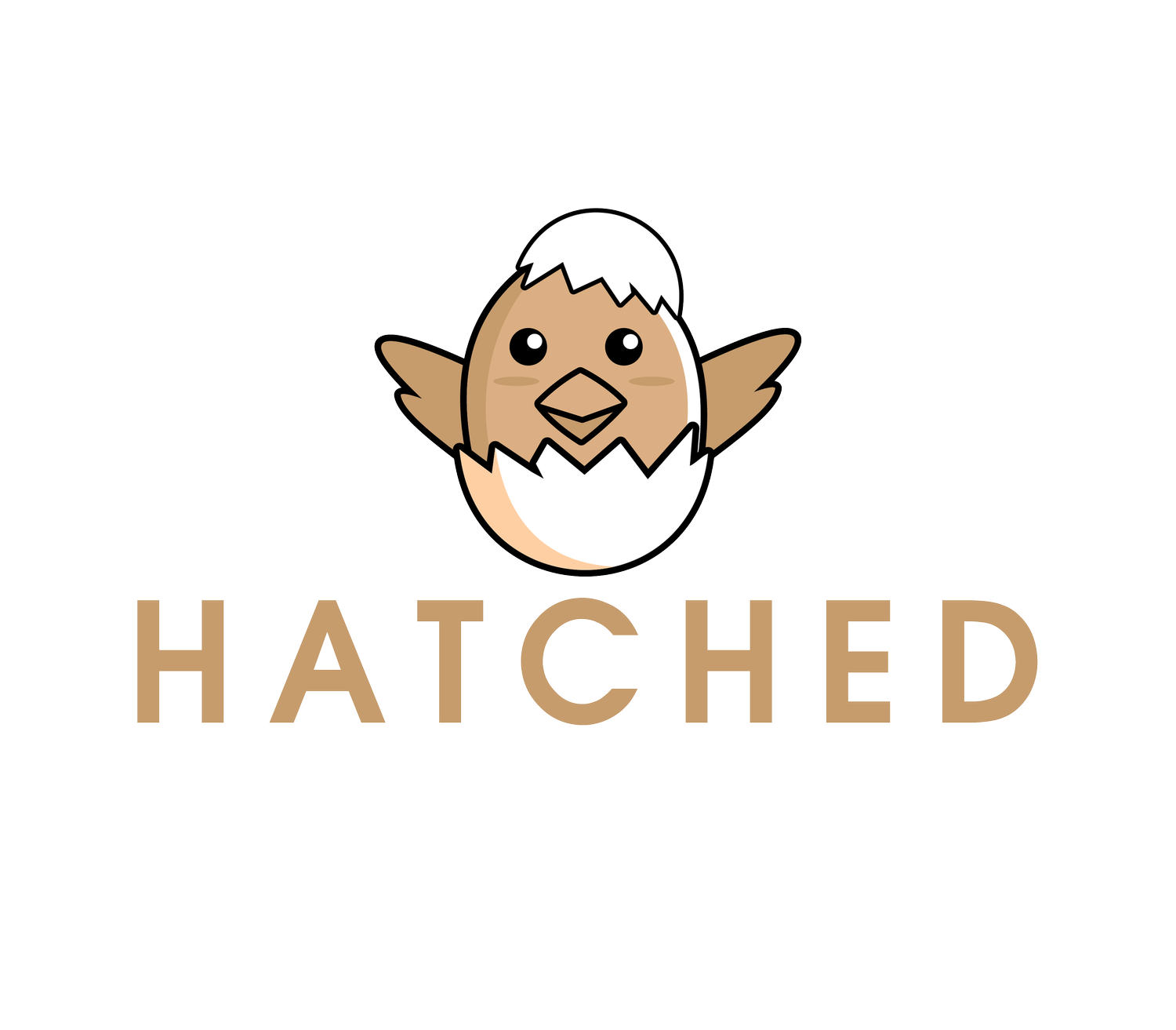 Hatched Physical Therapy 