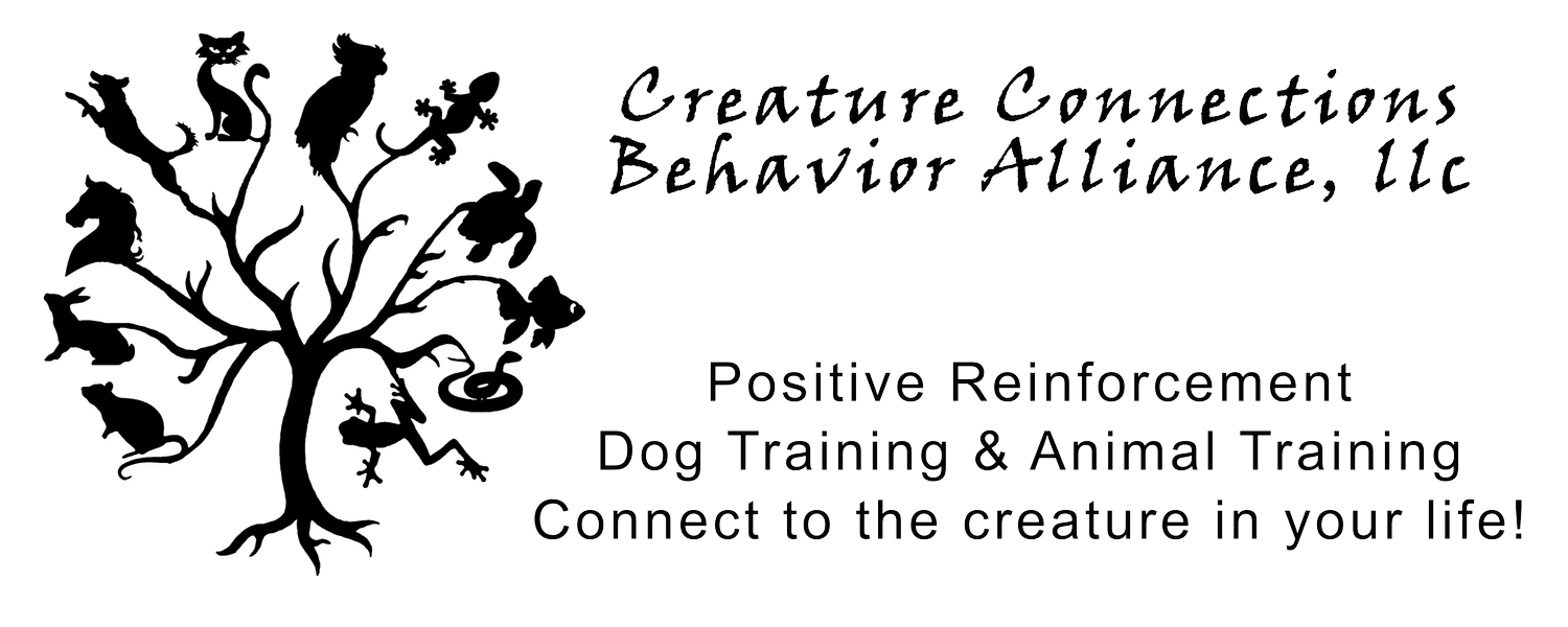 Creature Connections Behavior Alliance