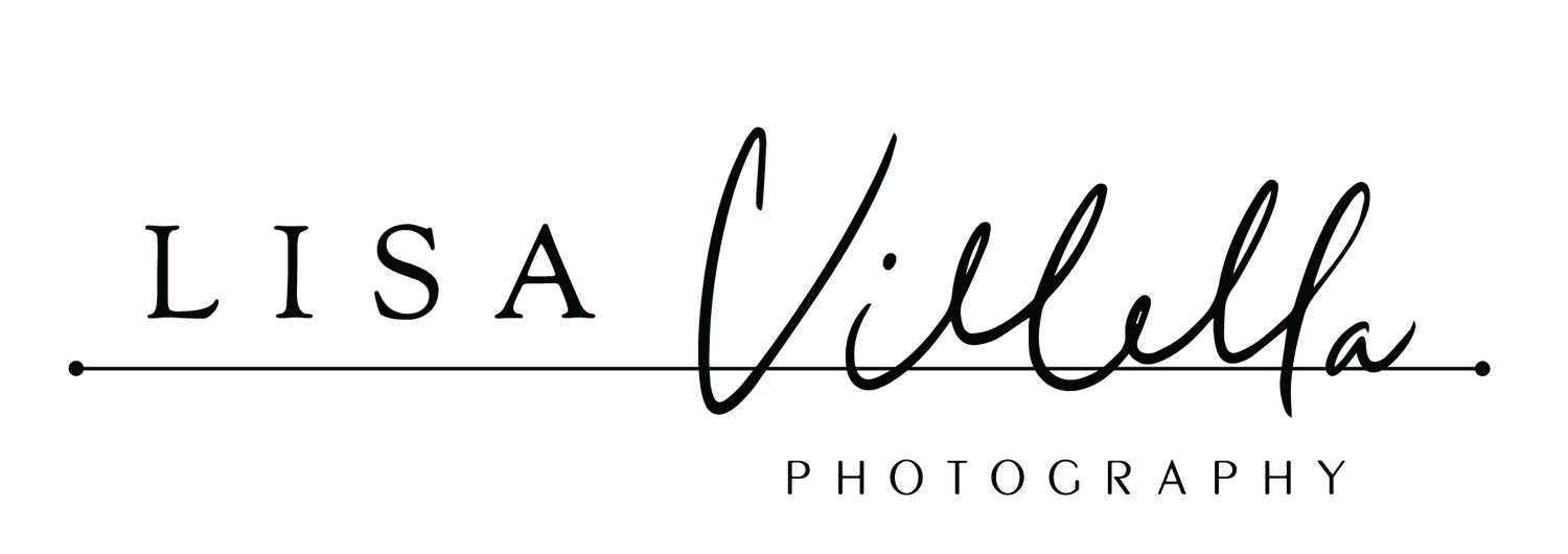 Lisa Villella Photography | Detroit Wedding Photographer 