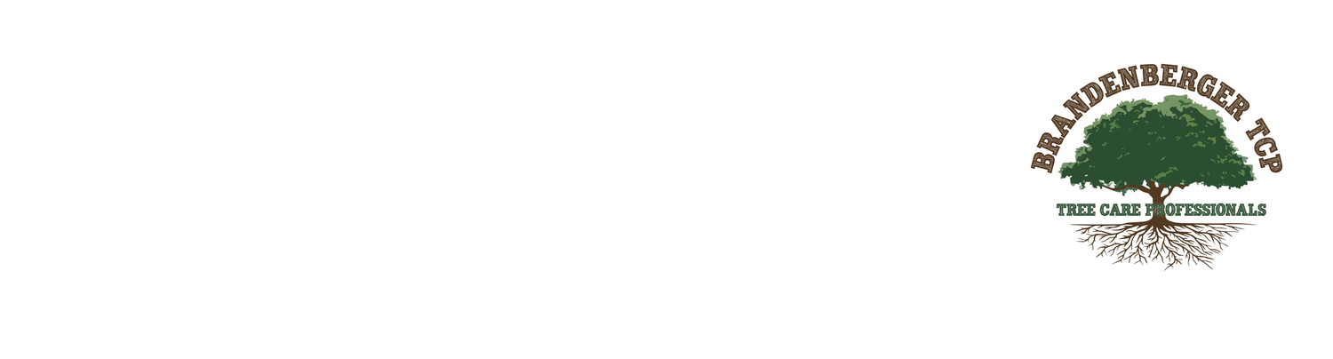 Redefine the Experience