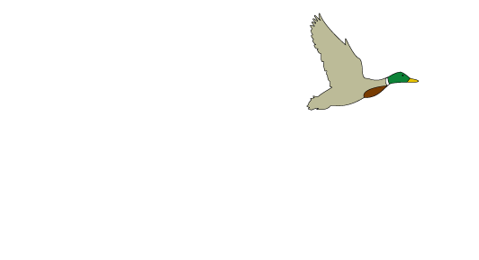 Drake Tool &amp; Design, Inc