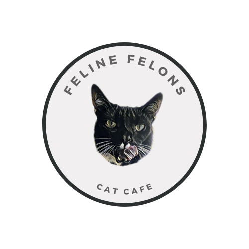 Feline Felons Cat Cafe Events