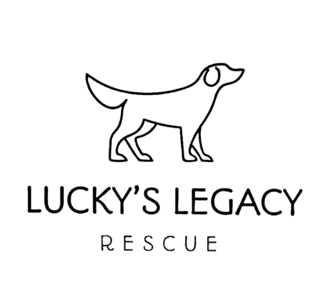 Lucky&#39;s Legacy Rescue