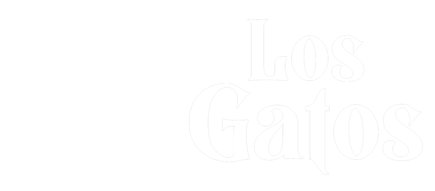 Los Gatos | Tapas Bar | Swindon