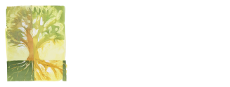 LifeSpring Network