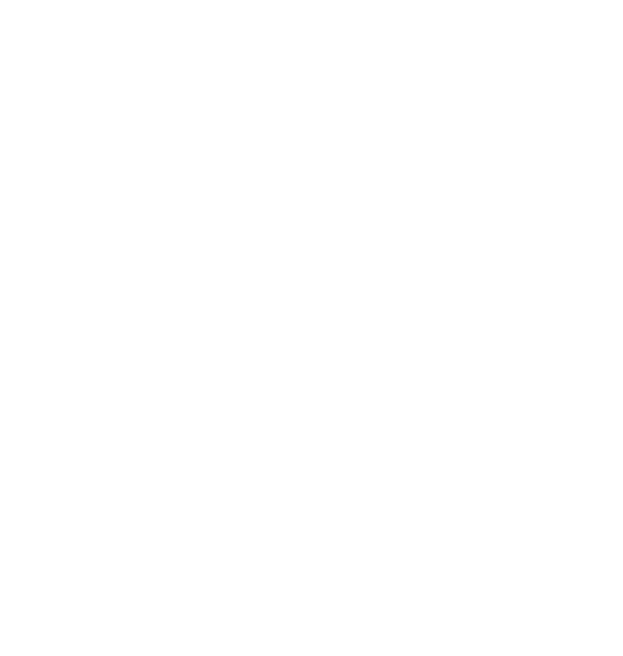 Georgia Muslim Voter Project