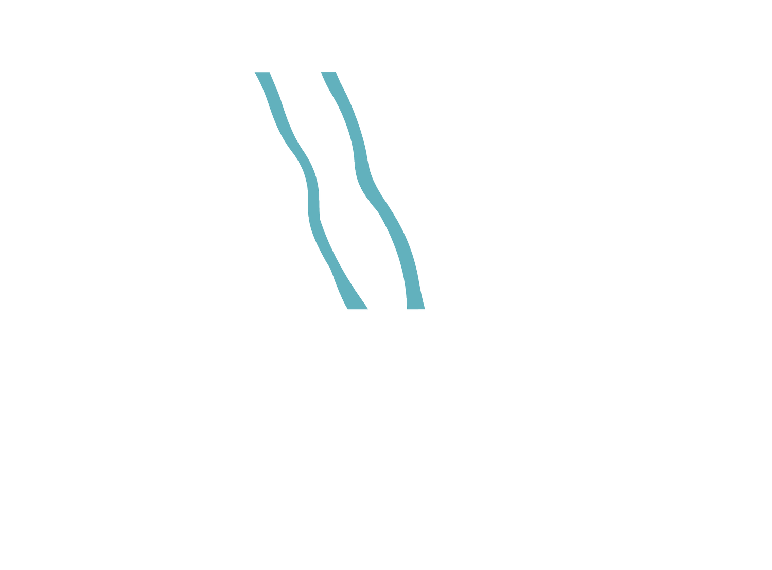 Air Whanganui