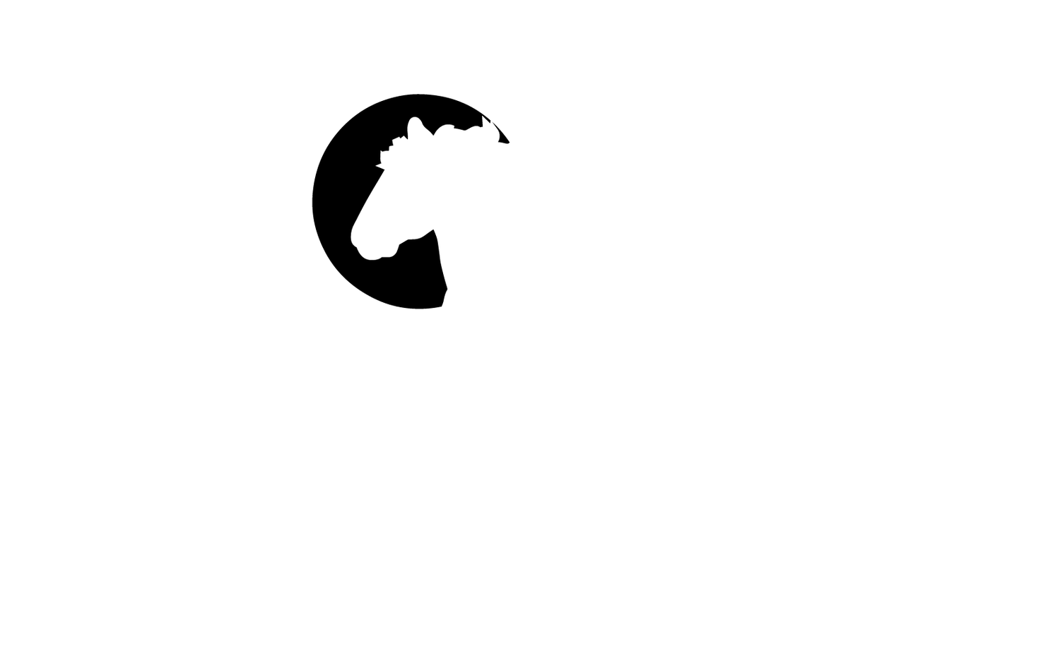 Robbie Potter Horsemanship