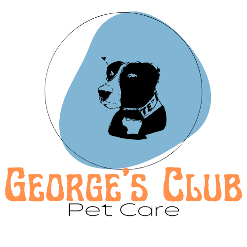 George&#39;s Club 