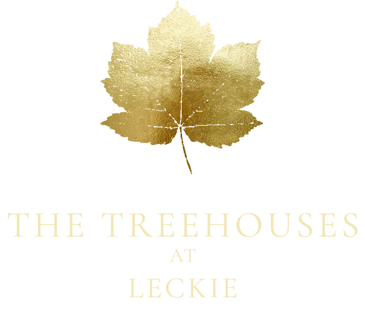 Treehouses at Leckie