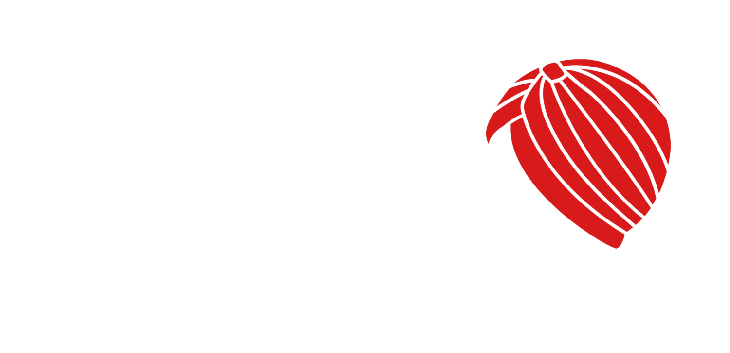 Singh Saab
