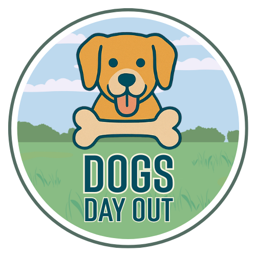 Dogs Day Out