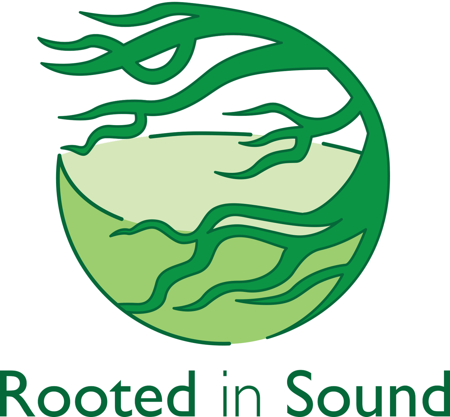 ROOTED IN SOUND