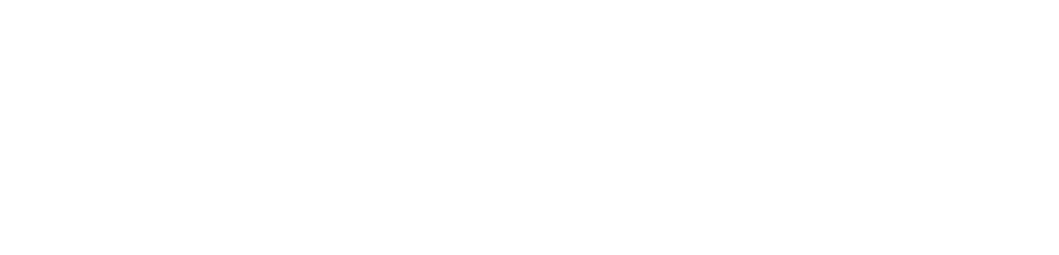Premier Landscape and Design