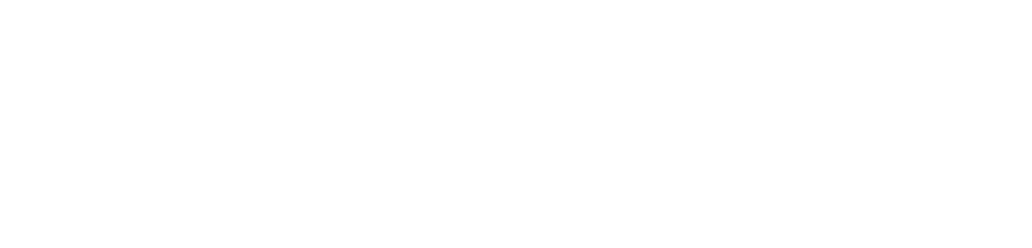 Premier Landscape and Design