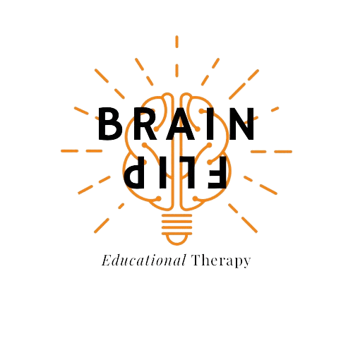 BrainFlip | Educational Therapy