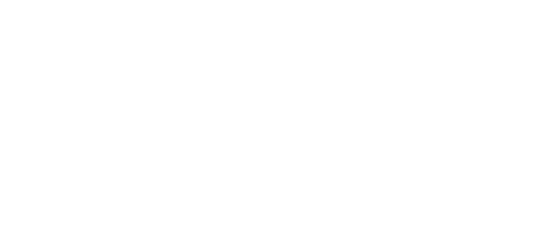 Active Engineering Systems