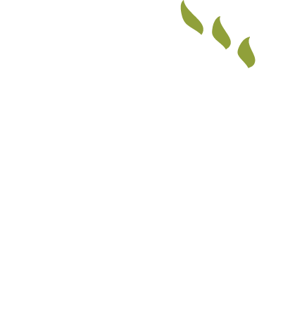 ReJuvenere Medical Spa