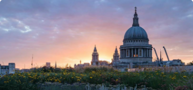 St Pauls Cathedral, London