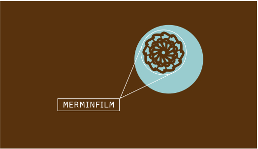 MERMINFILM