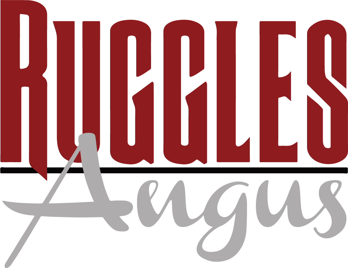 Ruggles Angus