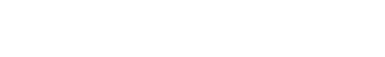 Deepsafety
