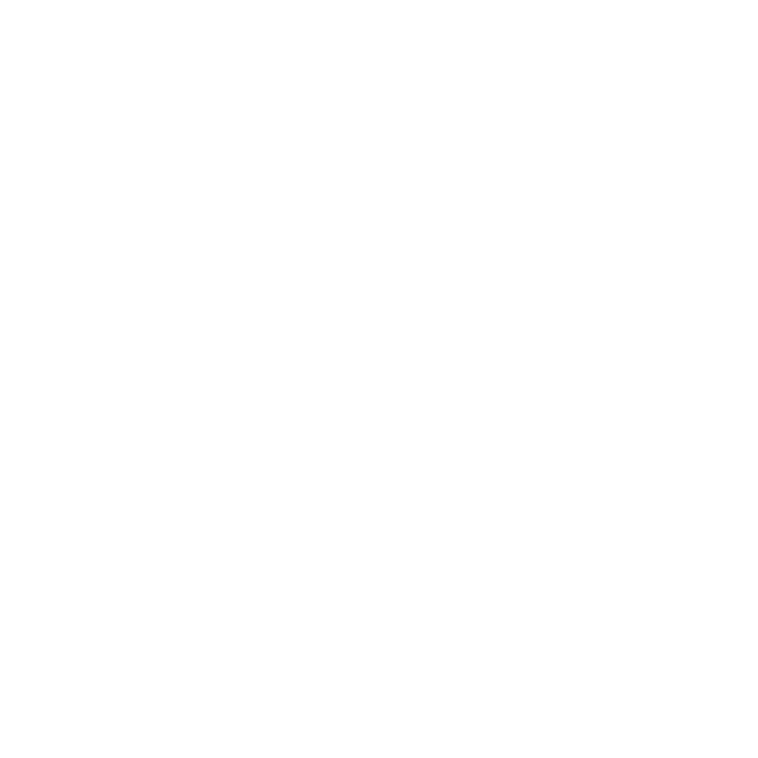 raytastic