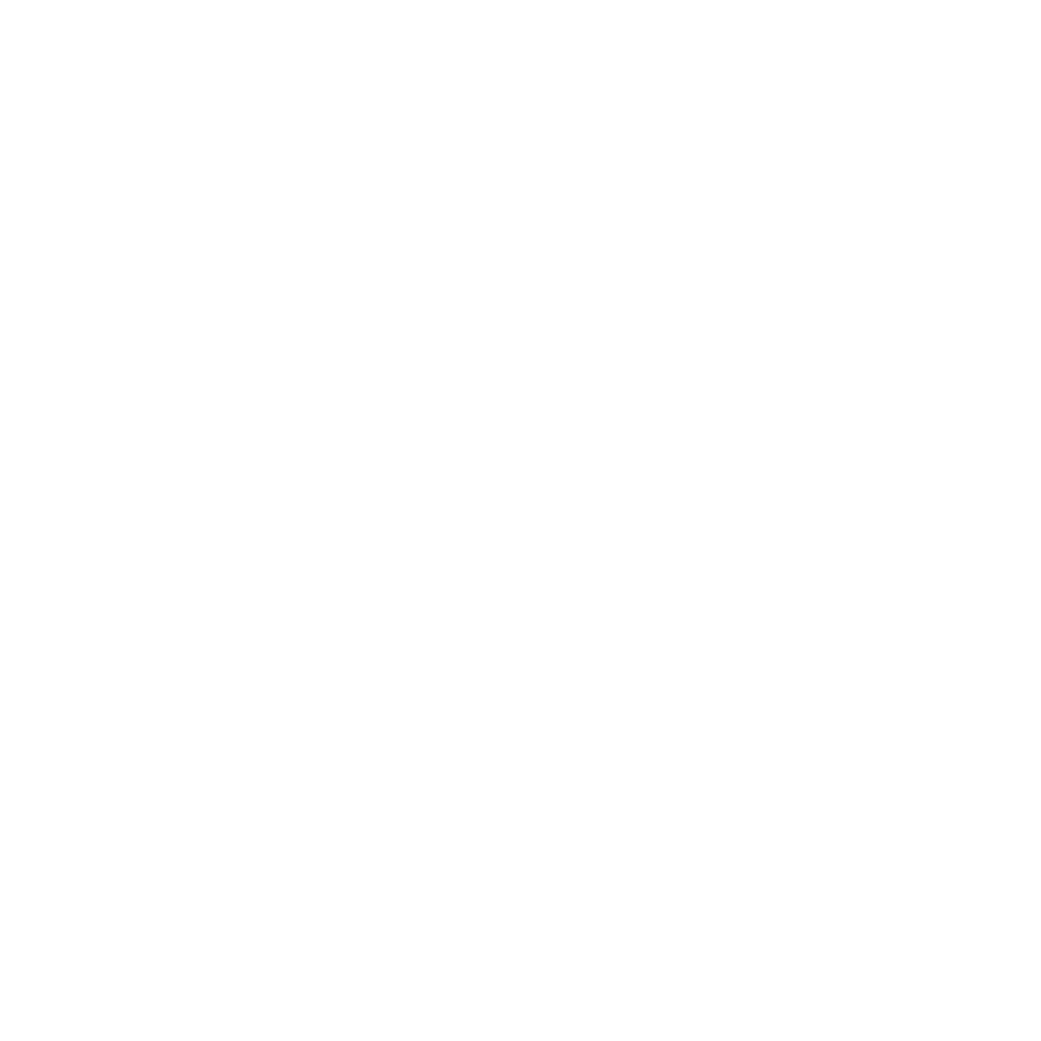 raytastic
