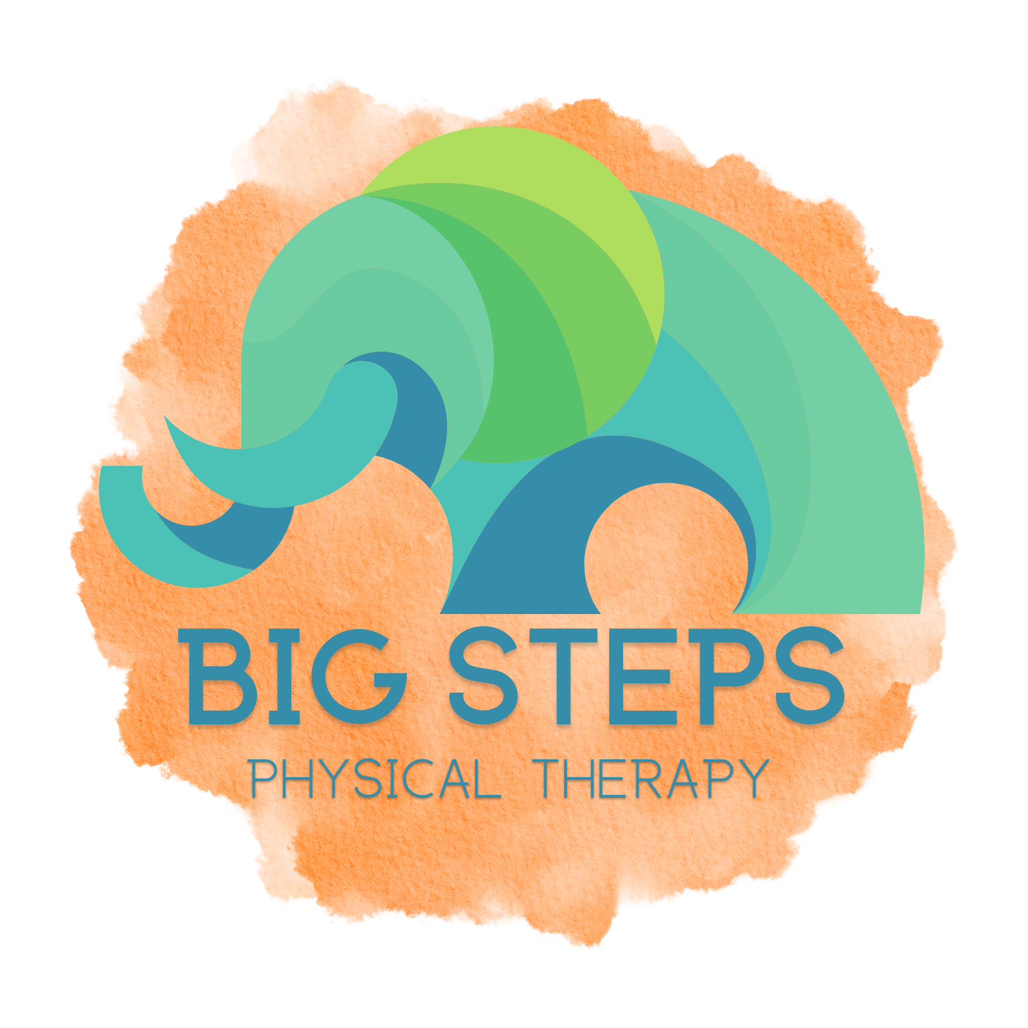 Big Steps Physical Therapy 